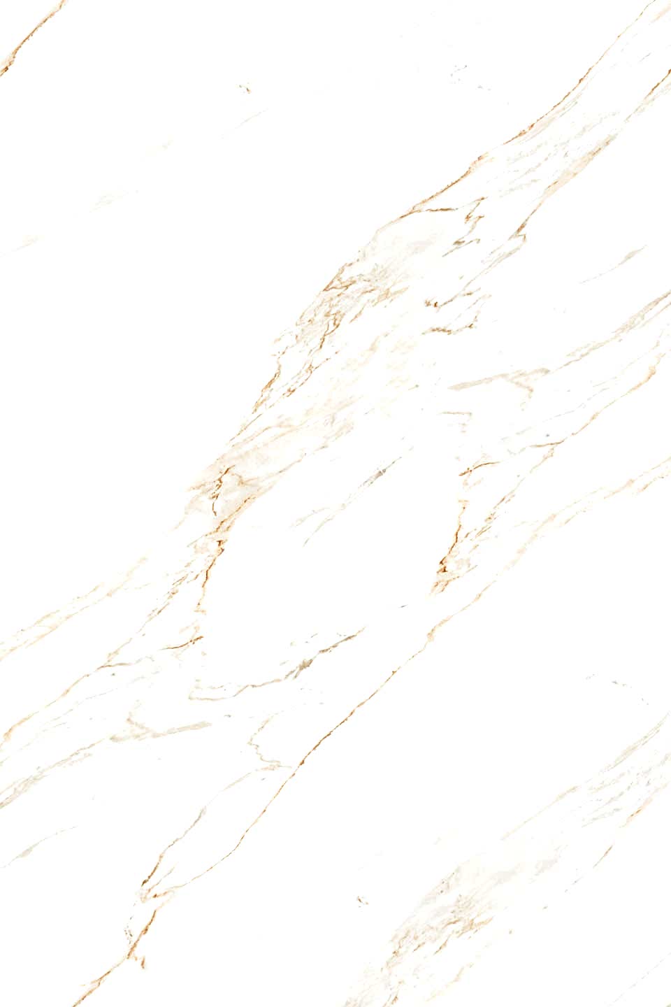 07calacatta borghini